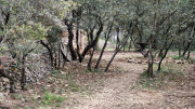 Nages4_24_03-38