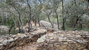 Nages4_24_03-43