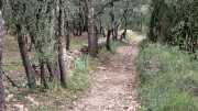 Nages4_24_03-50