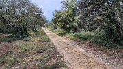 Nages4_24_03-55