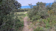 Nages4_24_03-57