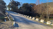 1_Sauve_25_02-2