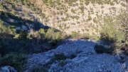 Sauve_24_02-108