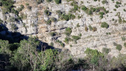 Sauve_24_02-109