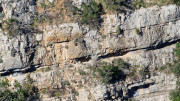 Sauve_24_02-110