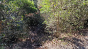 Sauve_24_02-115
