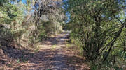 Sauve_24_02-116