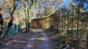 Sauve_24_02-117