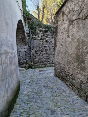 Sauve_24_02-12