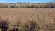 Sauve_24_02-120