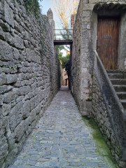 Sauve_24_02-13