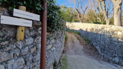 Sauve_24_02-21