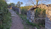Sauve_24_02-22