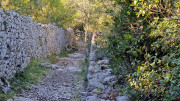 Sauve_24_02-23