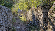 Sauve_24_02-24