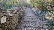 Sauve_24_02-25