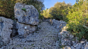 Sauve_24_02-26