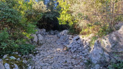 Sauve_24_02-27