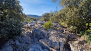 Sauve_24_02-30