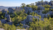 Sauve_24_02-33