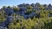 Sauve_24_02-34