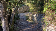 Sauve_24_02-35