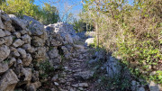 Sauve_24_02-36