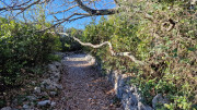 Sauve_24_02-37