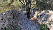 Sauve_24_02-38