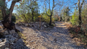 Sauve_24_02-39