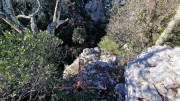 Sauve_24_02-42