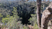 Sauve_24_02-43