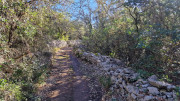 Sauve_24_02-46