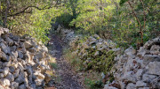 Sauve_24_02-47