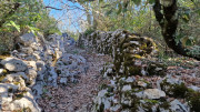 Sauve_24_02-48