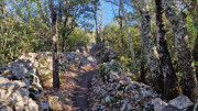 Sauve_24_02-49