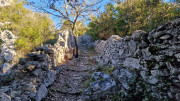 Sauve_24_02-51