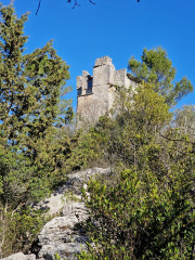 Sauve_24_02-52