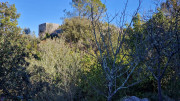 Sauve_24_02-61