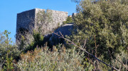 Sauve_24_02-62
