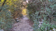 Sauve_24_02-73