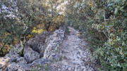 Sauve_24_02-77