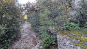 Sauve_24_02-78