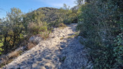 Sauve_24_02-81