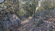 Sauve_24_02-82