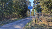 Sauve_25_02-10