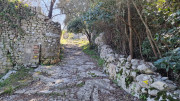 Sauve_25_02-107