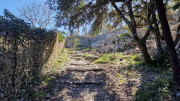 Sauve_25_02-108