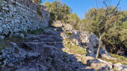 Sauve_25_02-110