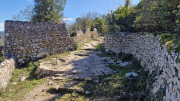 Sauve_25_02-111